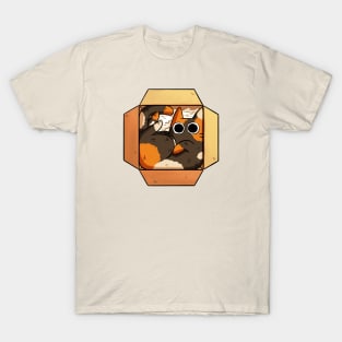 Box Cat T-Shirt